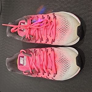 Nike Zoom Pegasus 33